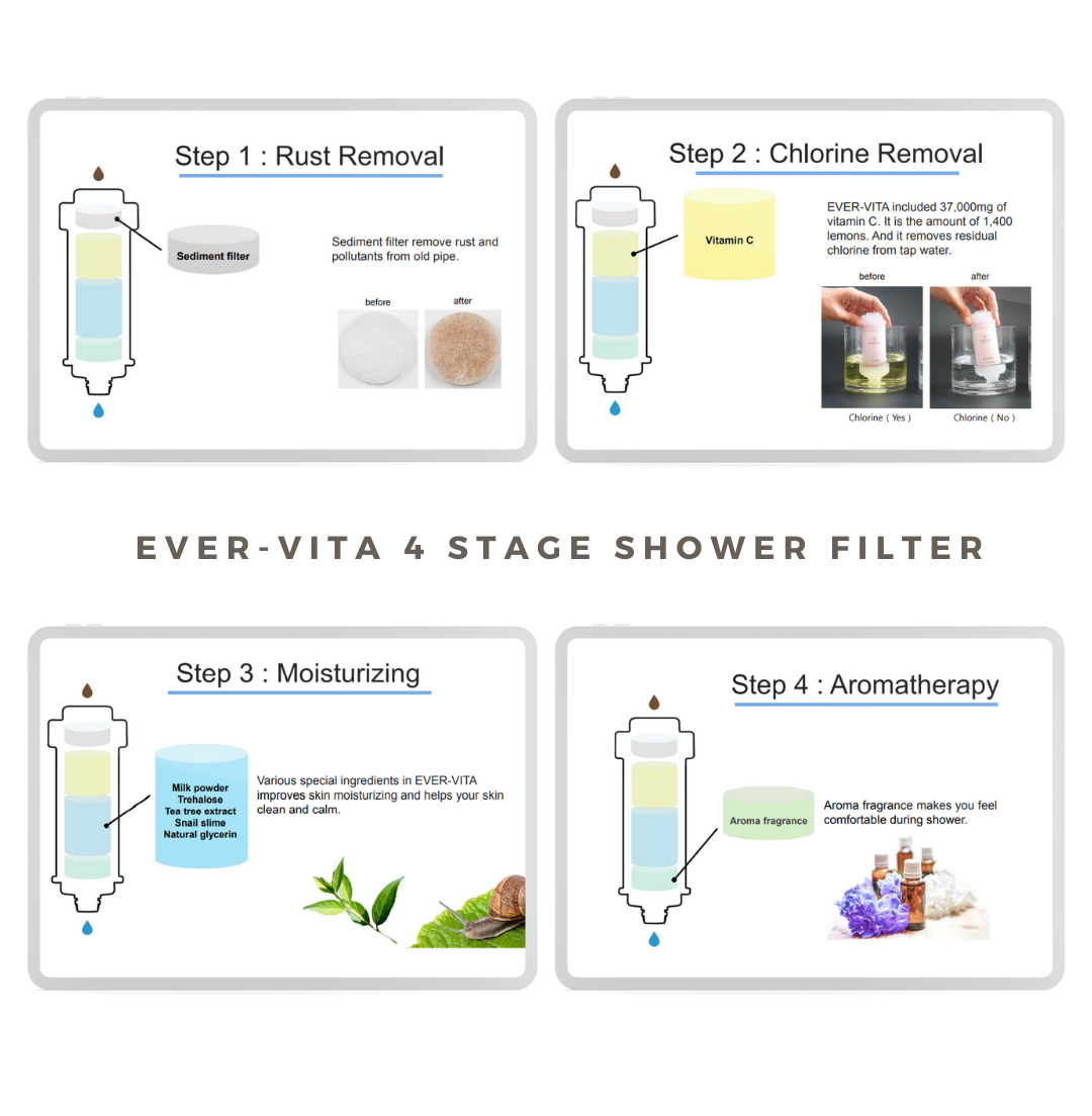 Korea Ever-Vita Vitamin Shower Filter Chlorine Remover with Aromatherapy